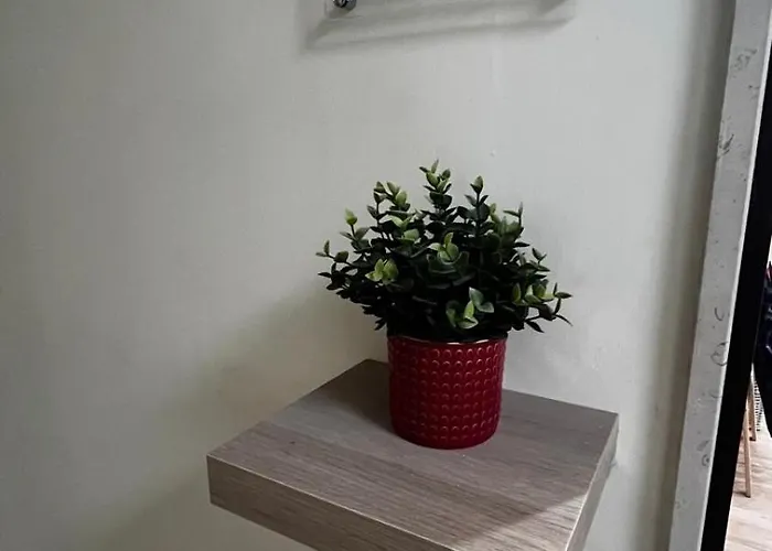 Vespucci Affittacamere Napoli