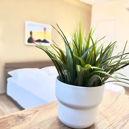 בית הארחה Vespucci